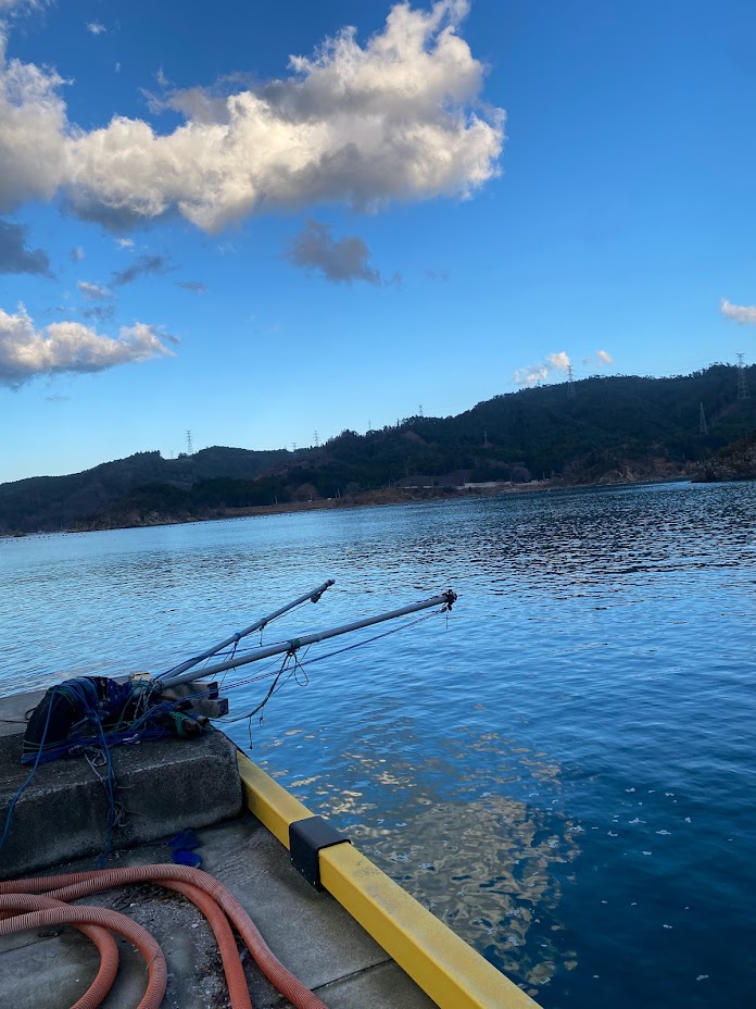 漁港から見える海