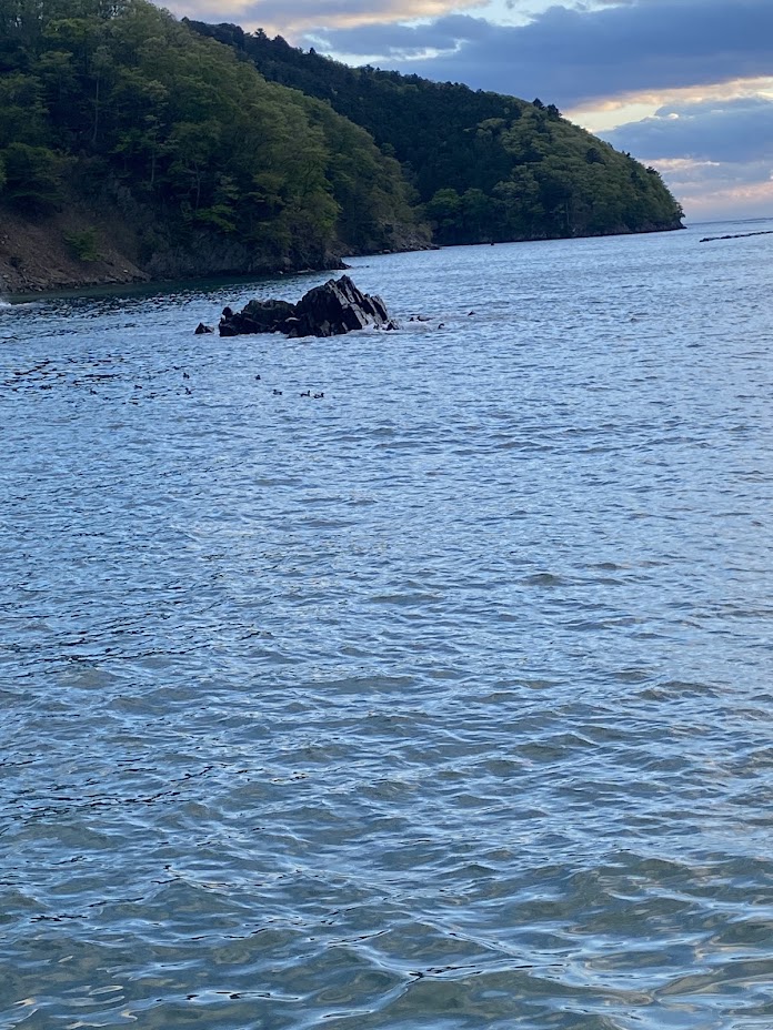 海にある小岩