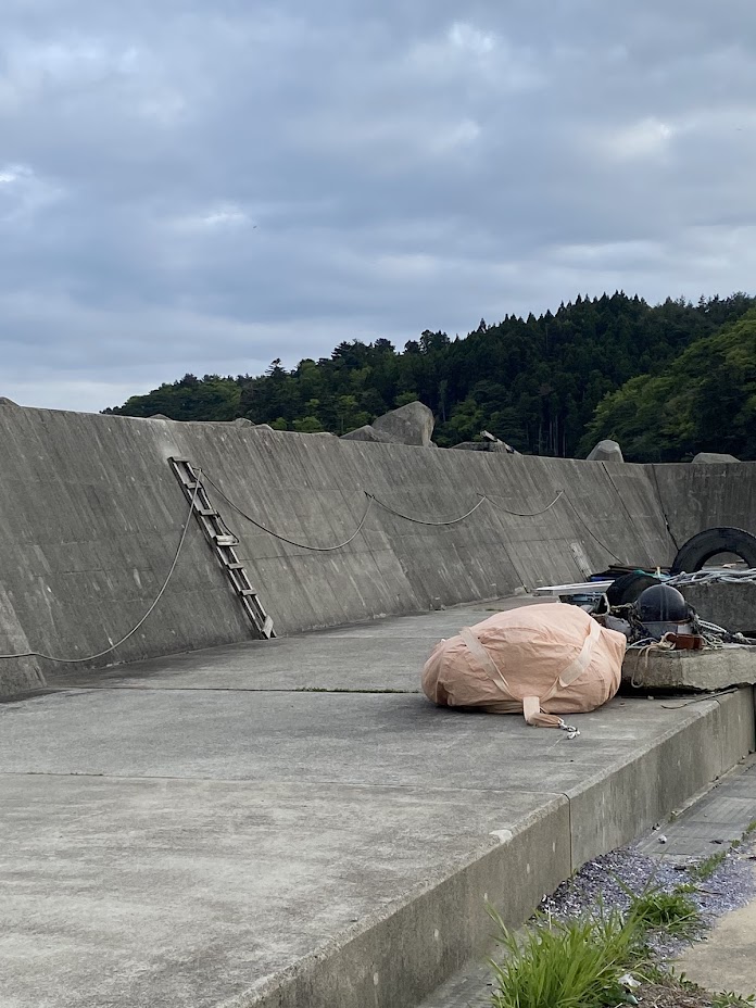 堤防にあるハシゴ