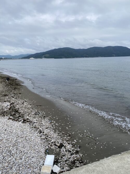 砂浜