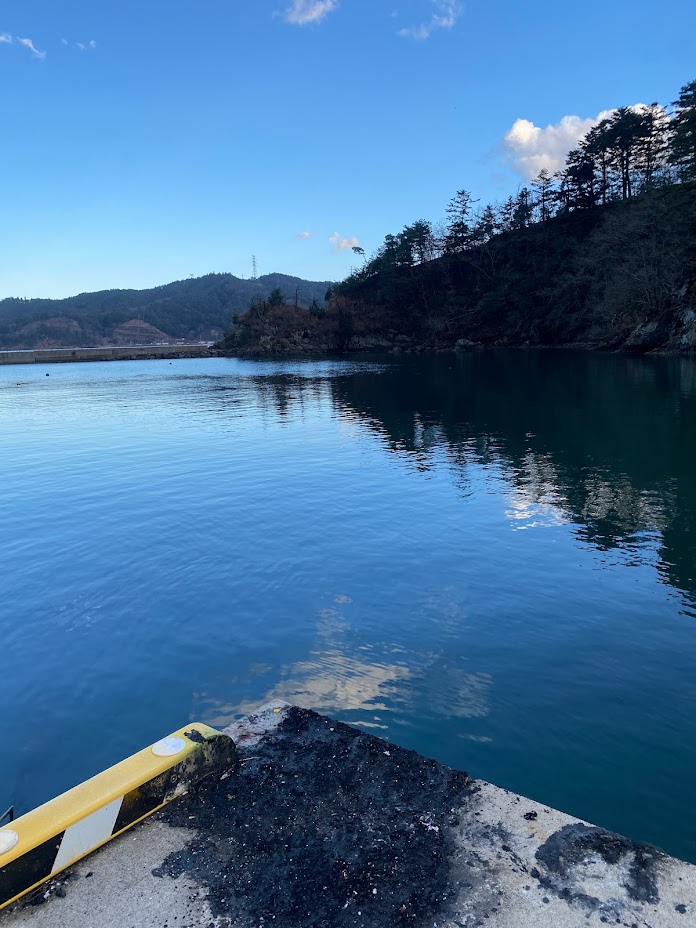 穏やかな海