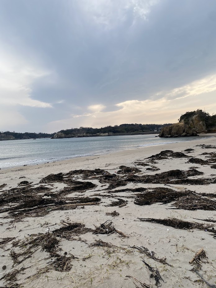 海藻の多い砂浜