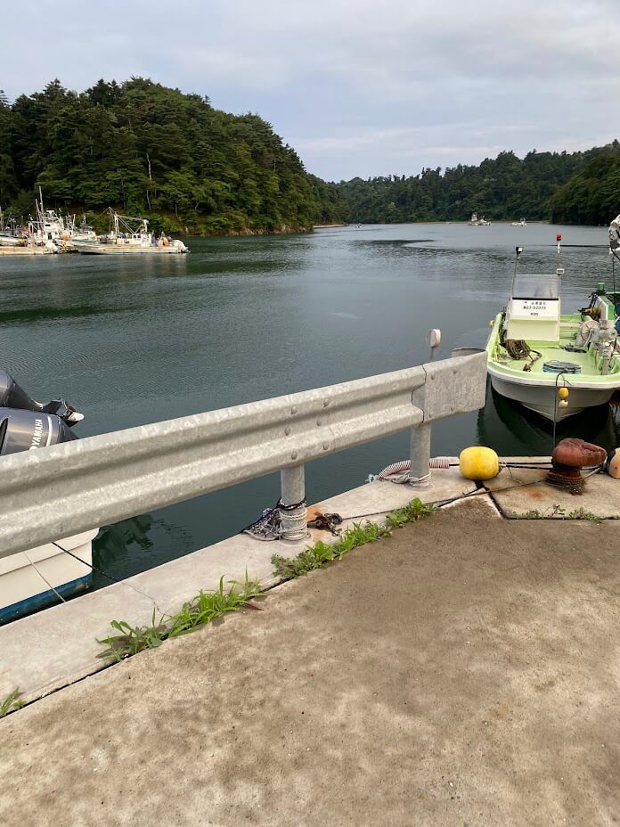 ガードレールからの海と山