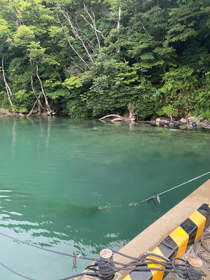 海沿いの山