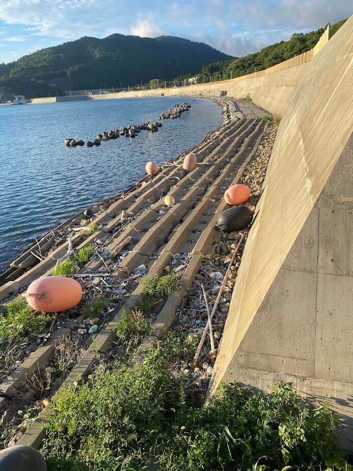 防潮堤の下