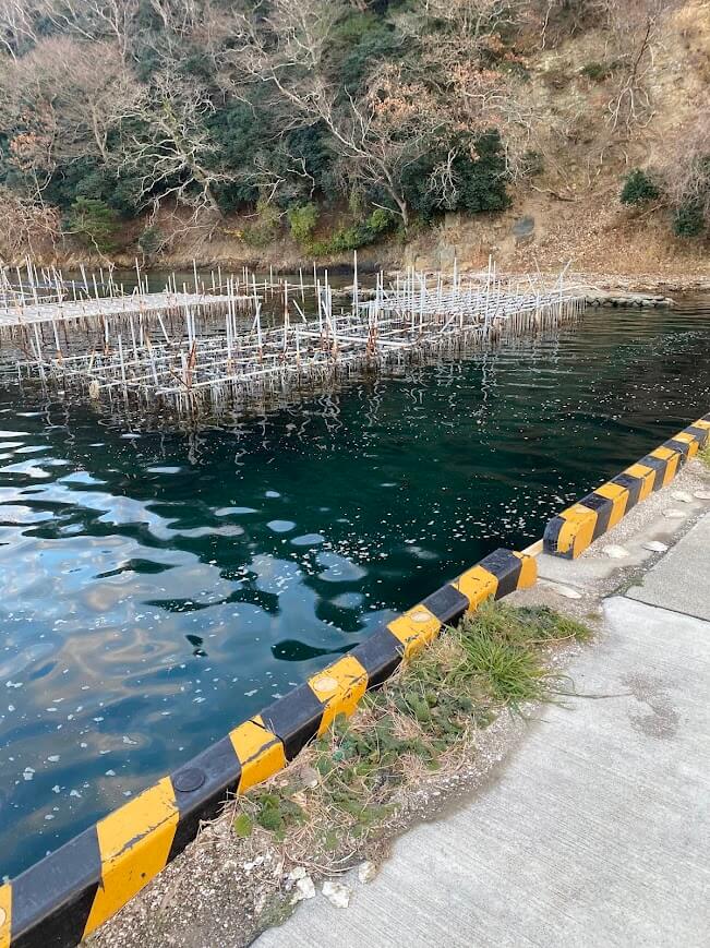 貝の養殖棚