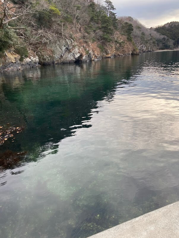 漁港の山沿い側