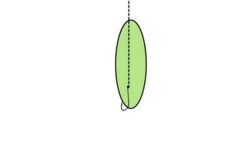 釣り針に刺してあるユムシの絵