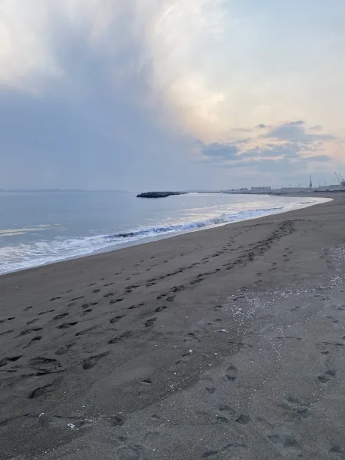 砂浜