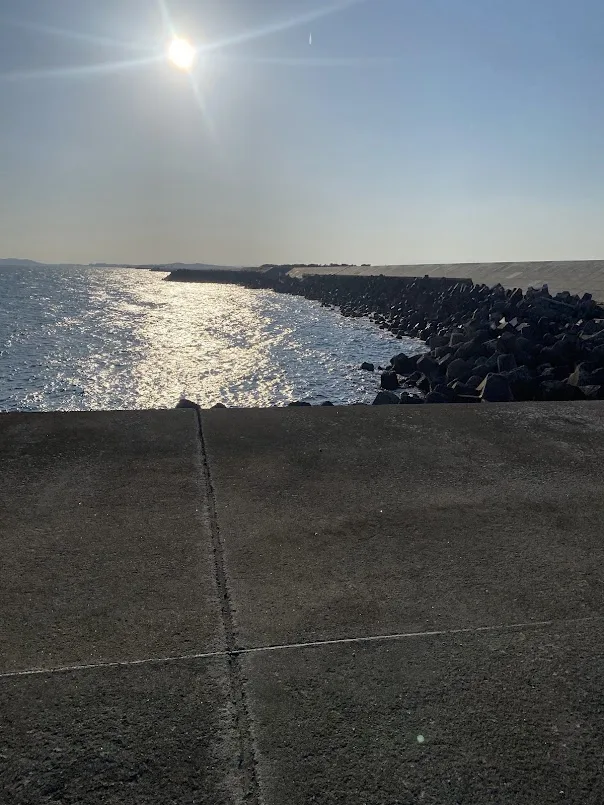 砂浜に並んだテトラ