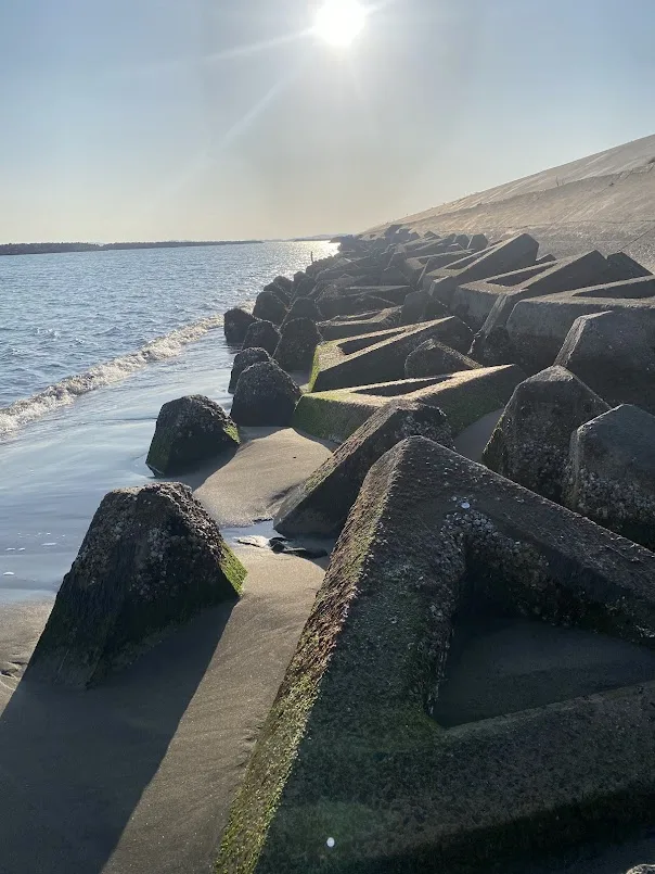 砂浜に埋めてあるテトラ
