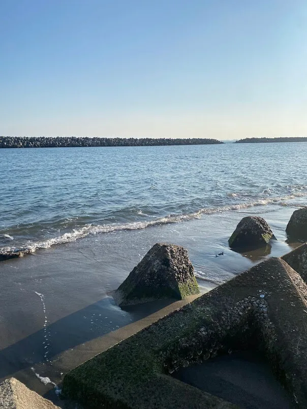 砂浜に埋めてあるテトラ