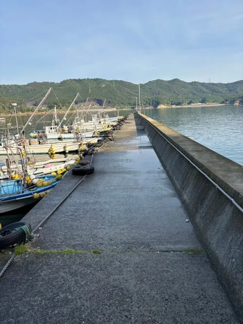 堤防