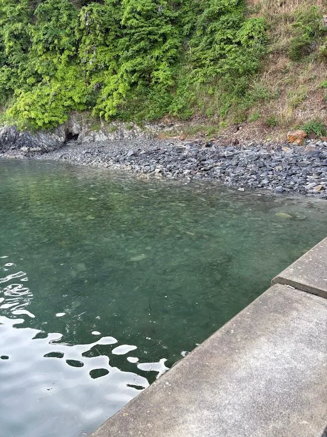 ゴロタ浜