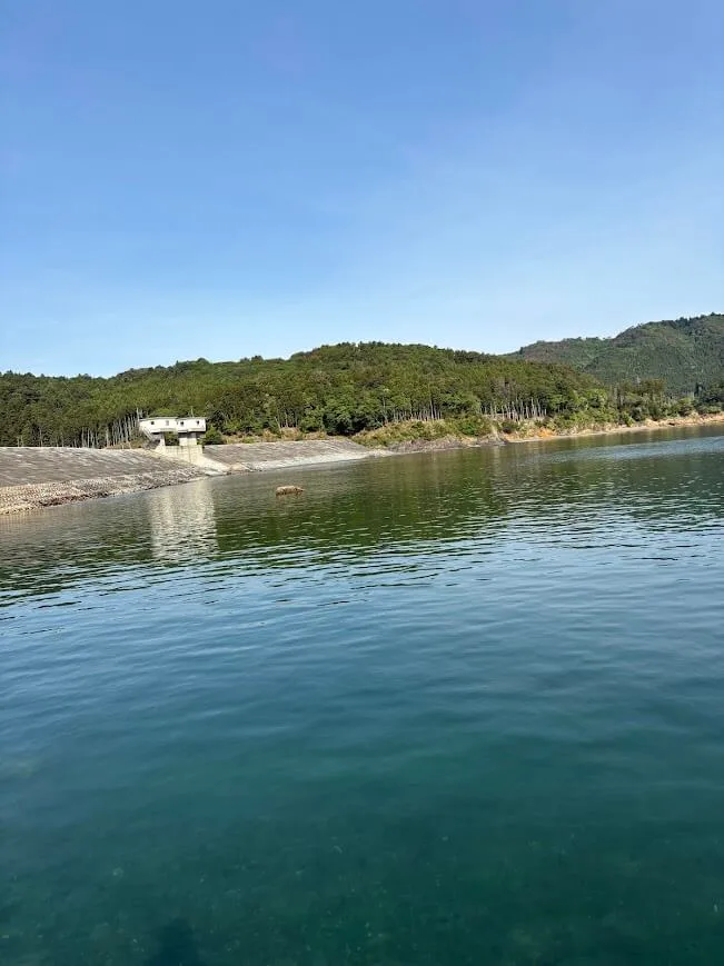 海