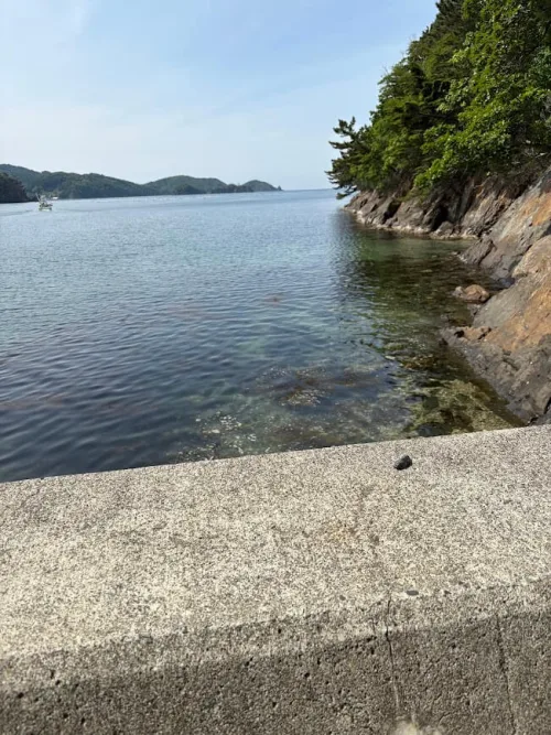 崖沿いの海