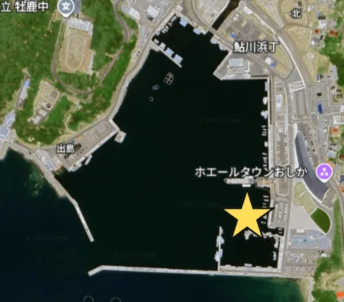 Googleマップの画像