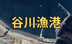 Googleマップの画像