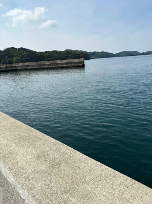 堤防外側
