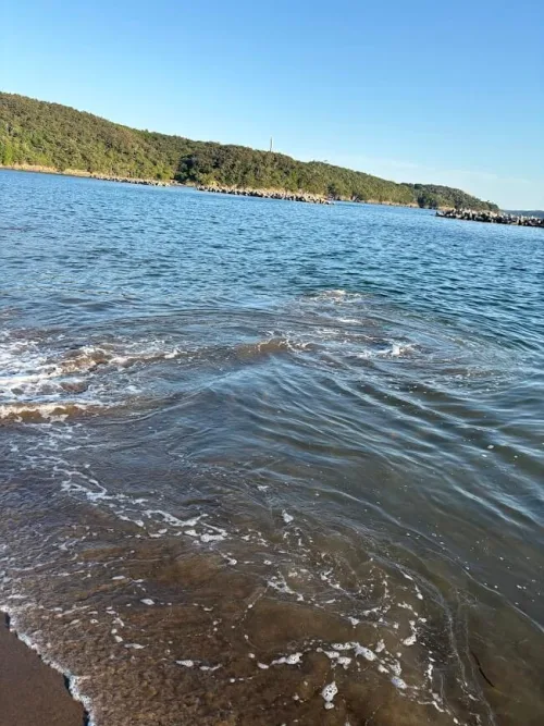 砂浜