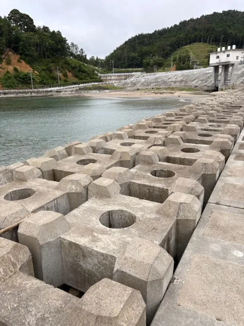 敷石帯と水門