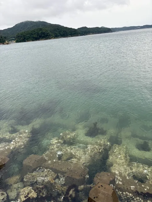 海中の敷石