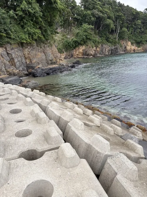 小磯