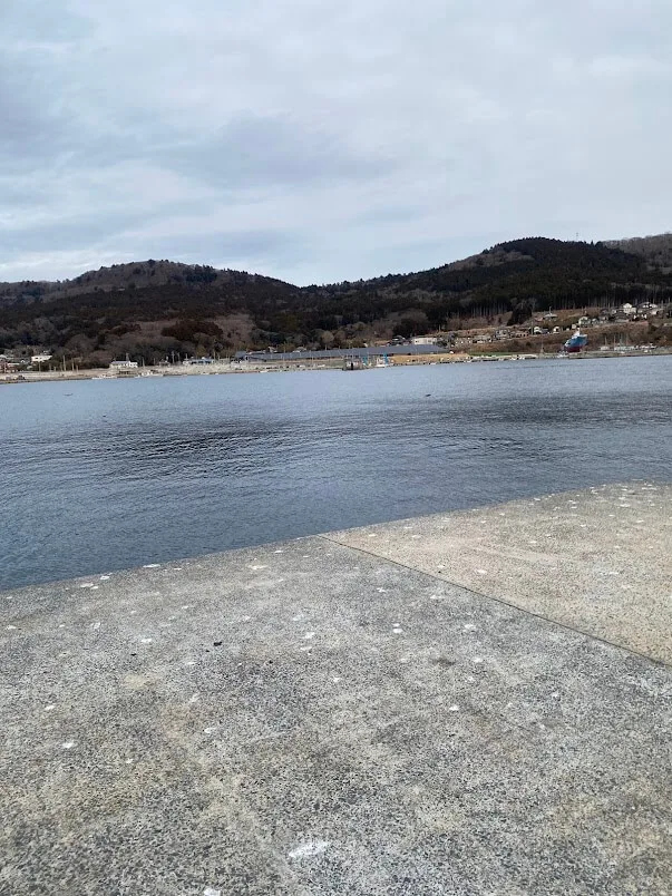 堤防からみる海