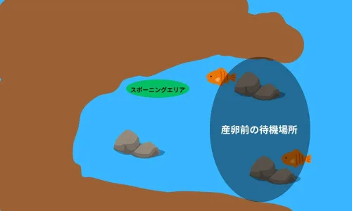 湾のイラスト
