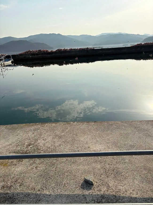 沖堤防