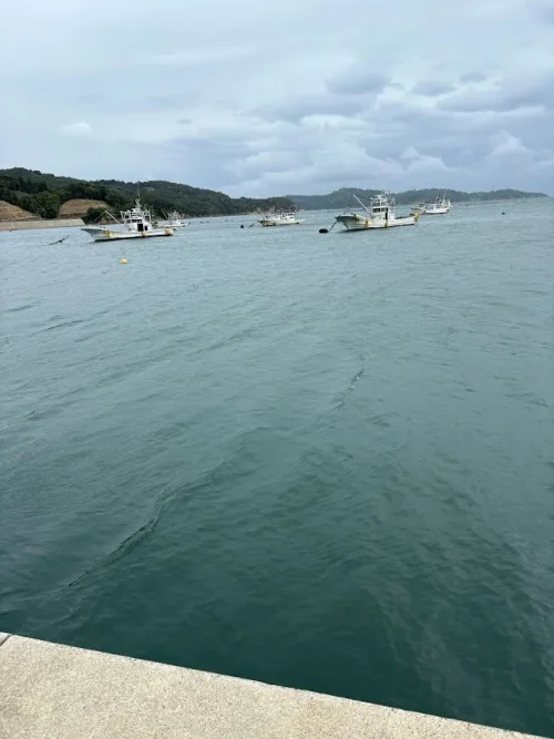海