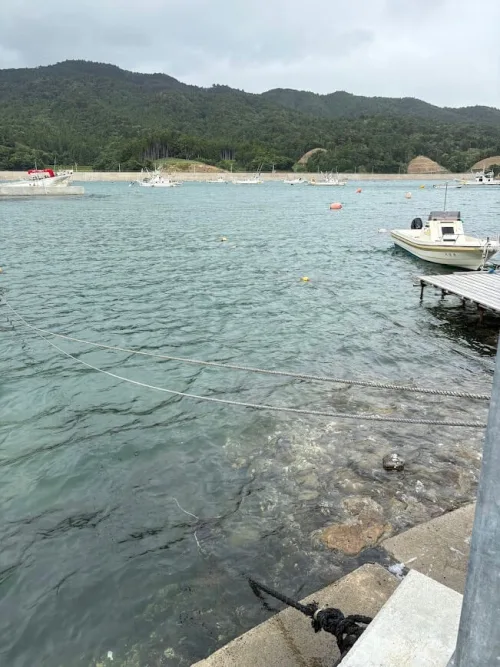 船着き場