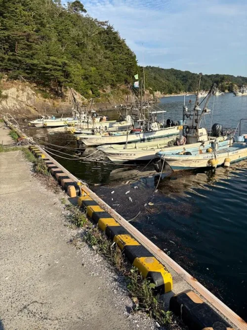 停泊している小船