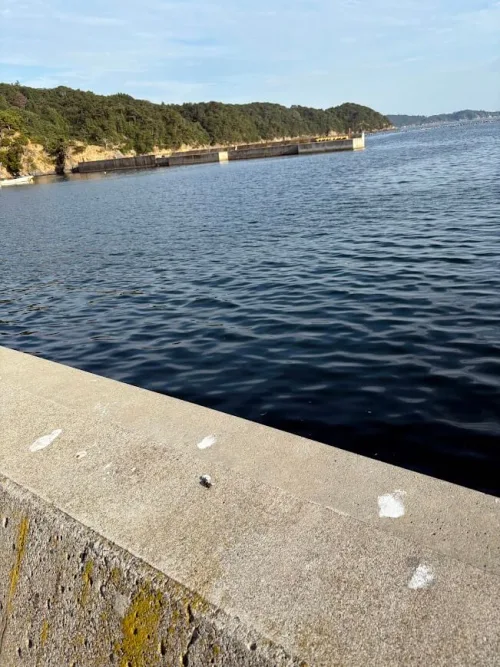 沖堤防