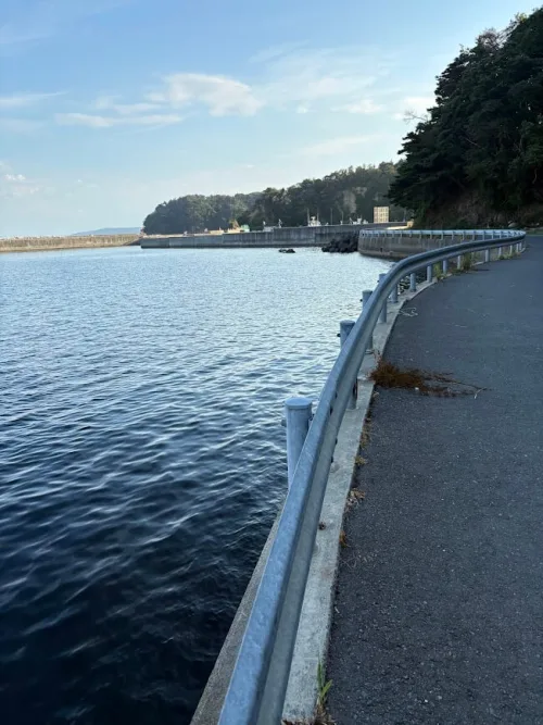 海沿いの道路