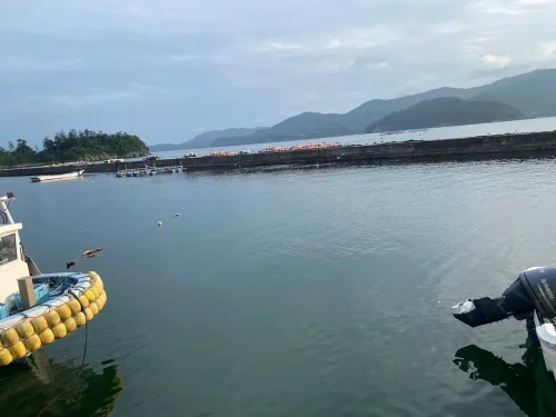 沖堤防