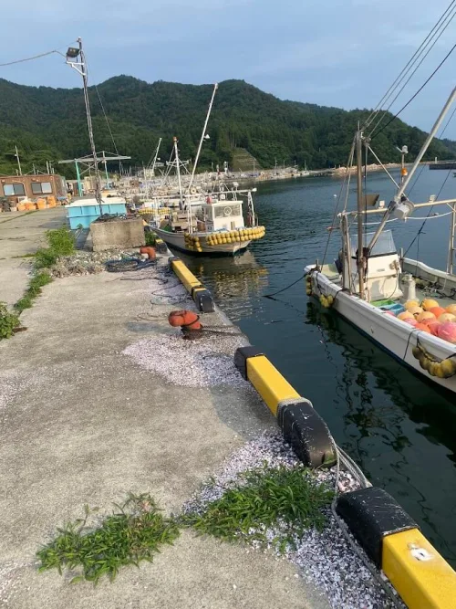 漁港