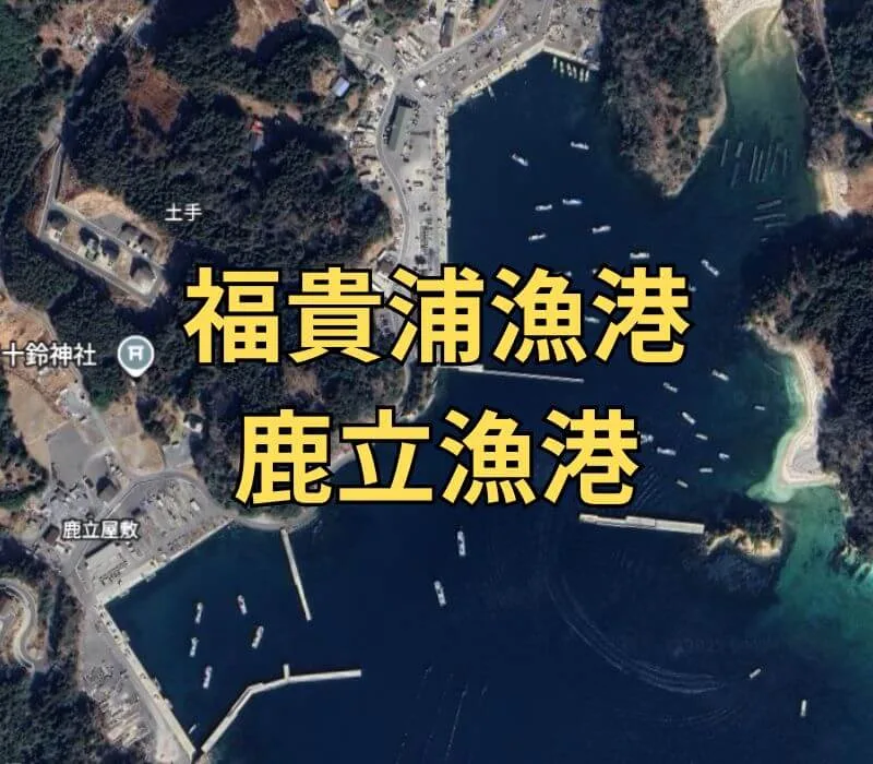 Googleマップの画像