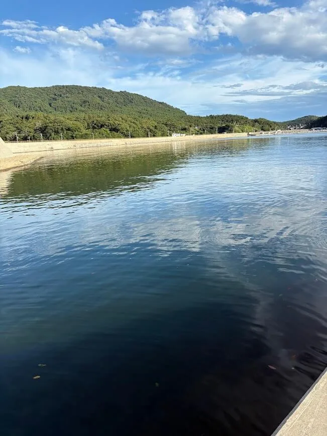 海