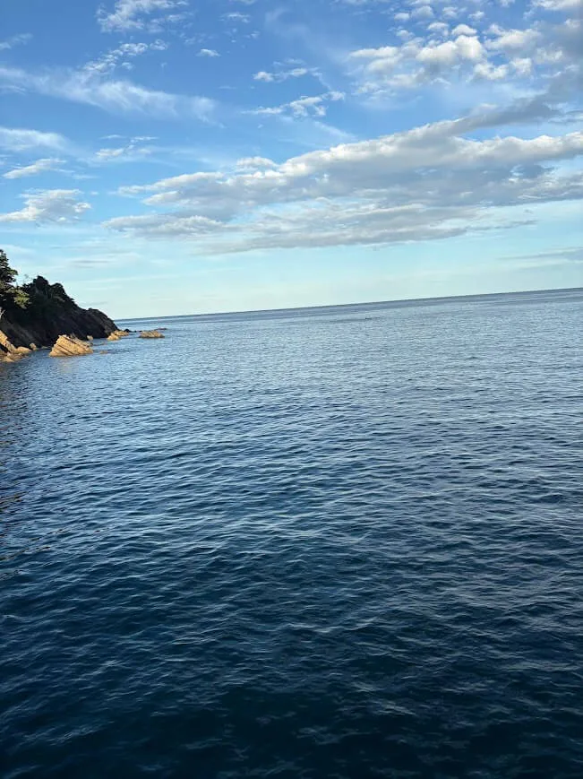 海