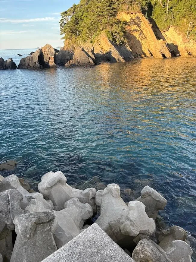 海