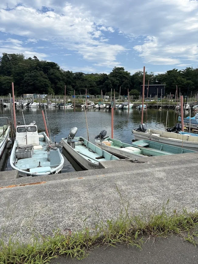 船の係留が多い漁港