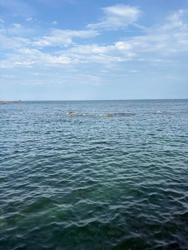 沖の根