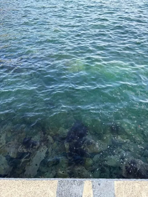 海底に沈む岩