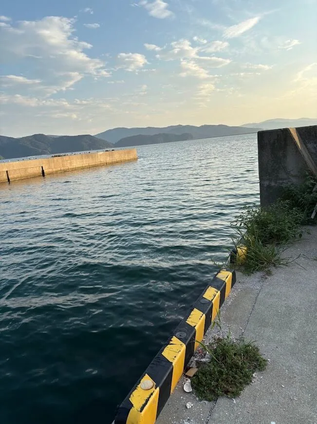 海