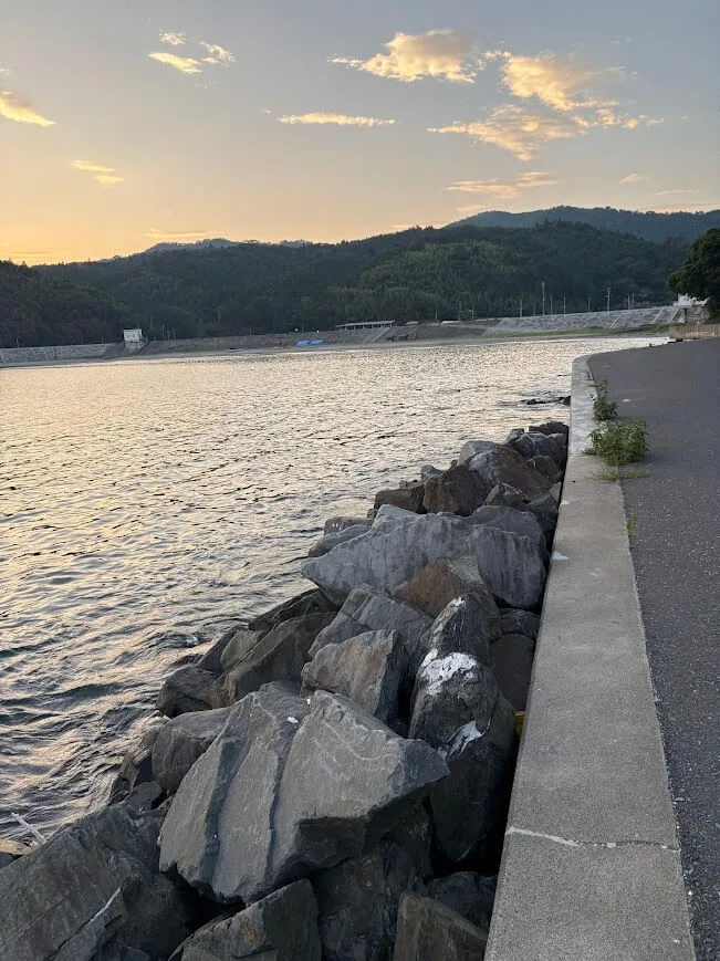 海沿いの道の岩場