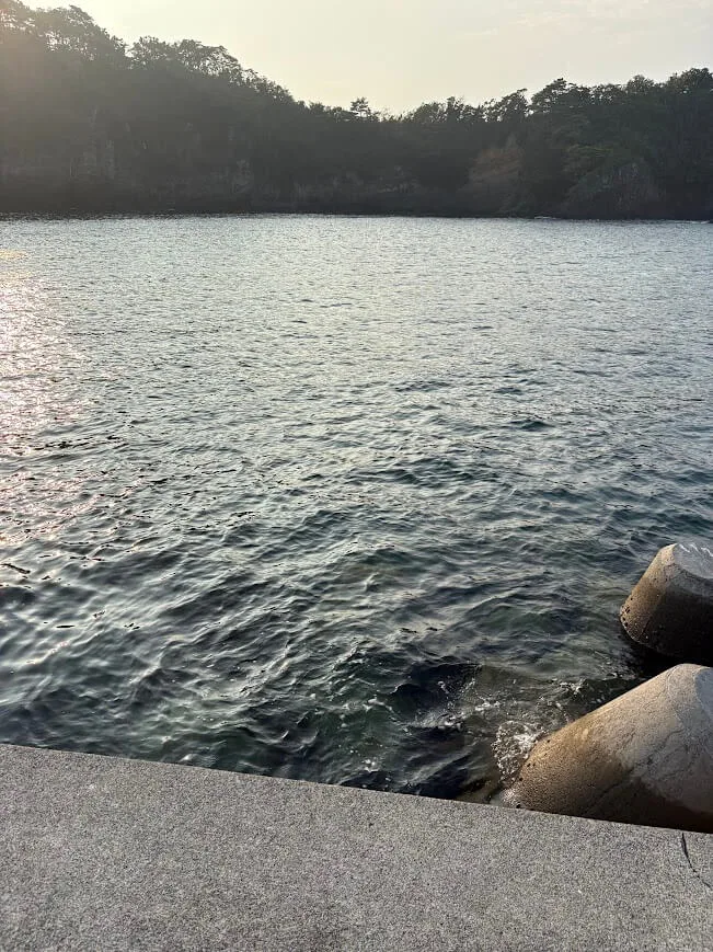 海