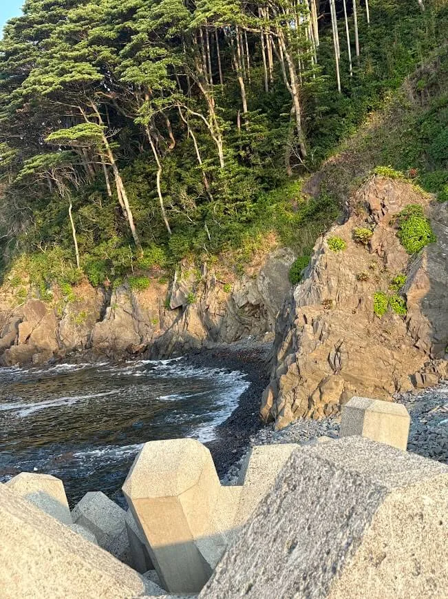 ゴロタ浜
