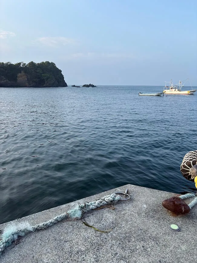 海