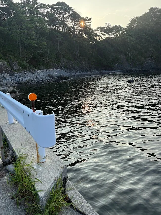 海